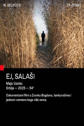 Poster of Ej, salaši