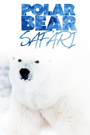 Poster of Polar Bear Safari