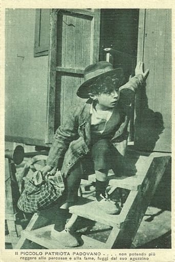 Poster of The Little Patriot From Padua