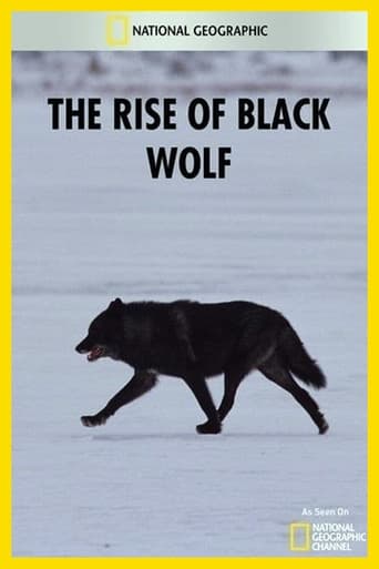 Poster of The Rise of Black Wolf