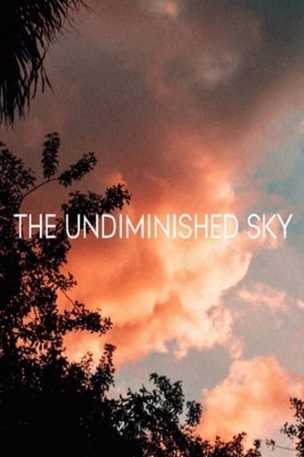 Poster of The Undiminished Sky