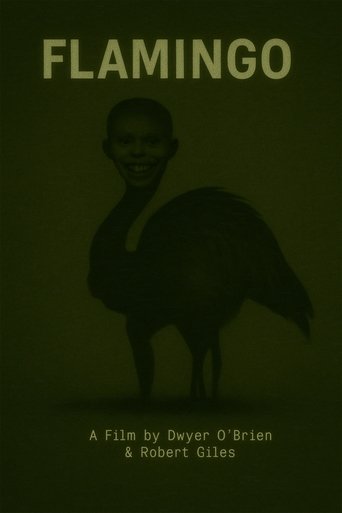 Poster of Flamingo