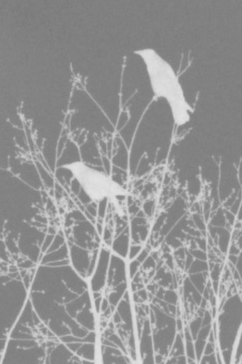 Poster of rüyanın geçişi