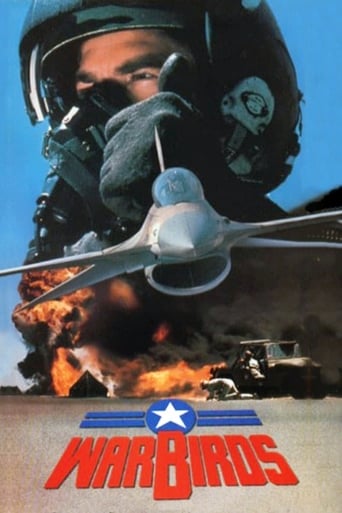 Poster of Warbirds