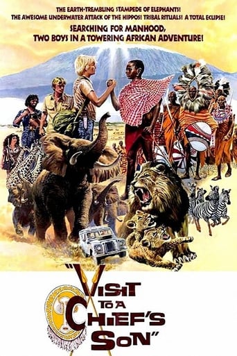 Poster of Visit to a Chief's Son