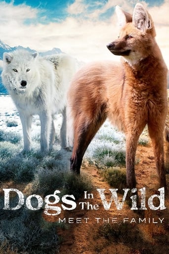 Poster of Dogs in the Wild: Meet the Family