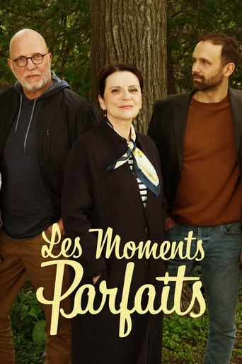 Poster of Les moments parfaits