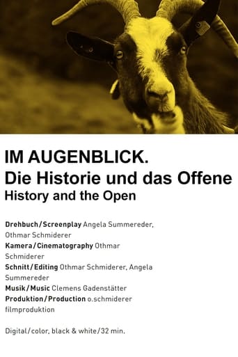 Poster of Im Augenblick. Die Historie und das Offene