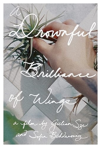 Poster of A Drownful Brilliance of Wings