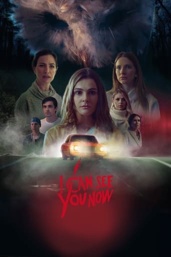 Poster of I Can See You Now