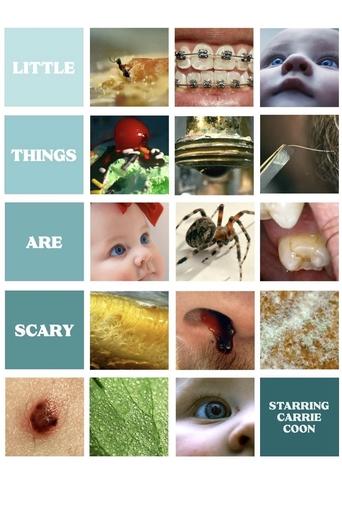 Poster of Little Things Are Scary