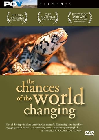 Poster of The Chances of the World Changing