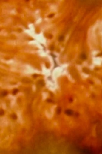 Poster of Suc