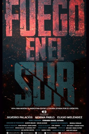 Poster of Fuego en el sur