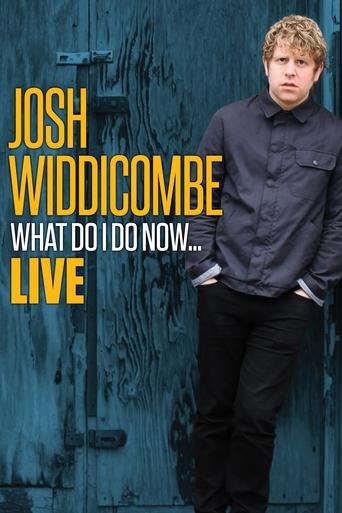 Poster of Josh Widdicombe: What Do I Do Now...