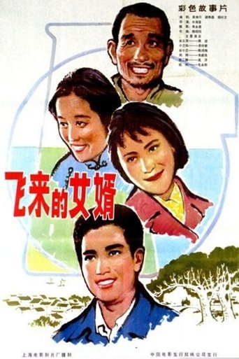 Poster of 飞来的女婿