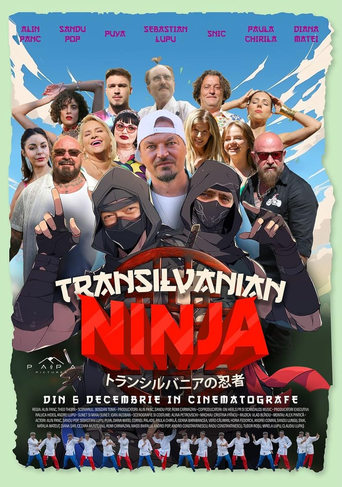 Poster of Transilvanian ninja