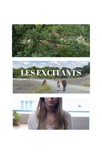 Poster of Les Excitants