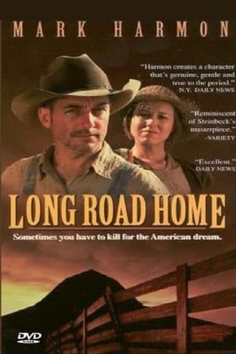 Poster of Long Road Home