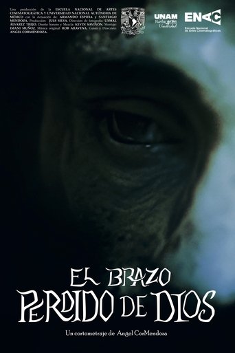 Poster of The Lost Arm of God