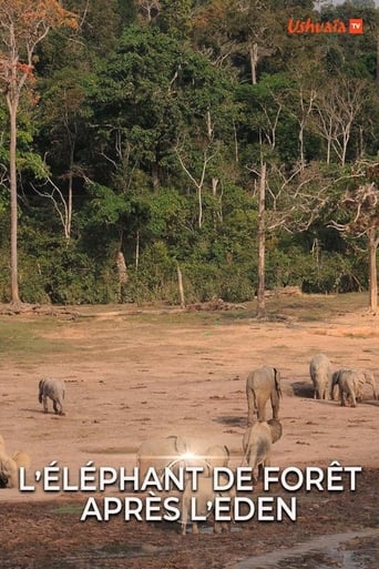 Poster of L' éléphant de forêt après l'éden