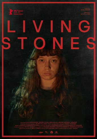 Poster of Living Stones