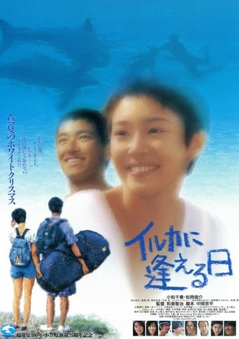 イルカに逢える日 Poster of イルカに逢える日