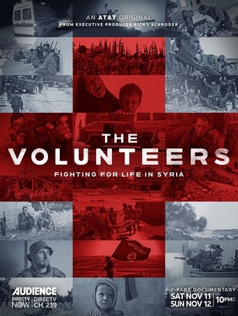 Poster of The Volunteers