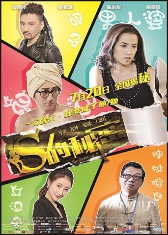 Poster of The Secret of S