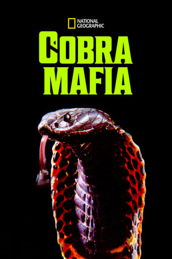 Poster of Cobra Mafia