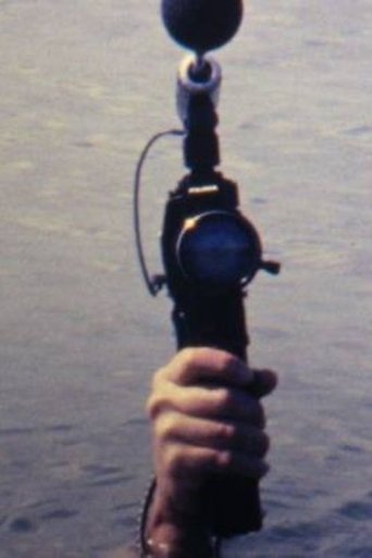 Poster of The Lake