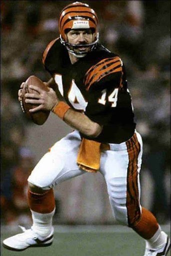 Portrait for NFL Films - Team Highlights - 1981