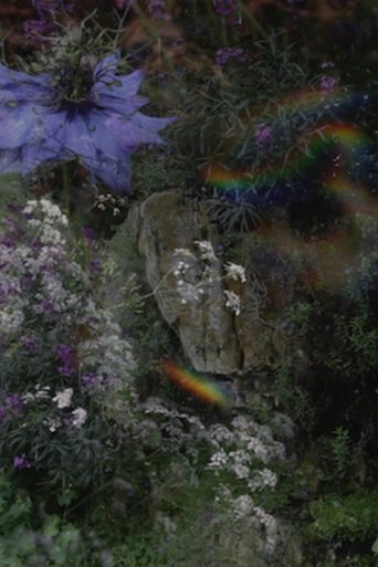 Poster of The Garden