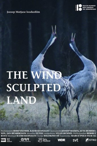 Poster of The Wind Sculpted Land