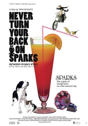 Poster of Never Turn Your Back On Sparks