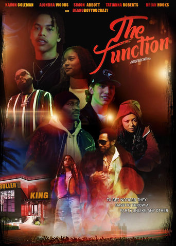 Poster of The Function