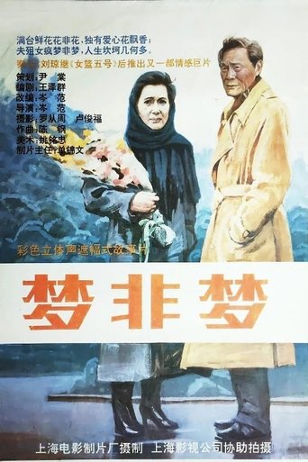 Poster of 梦非梦