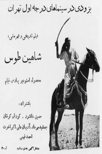 Poster of Shahin Toos