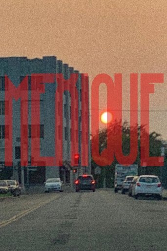 Poster of Mexique