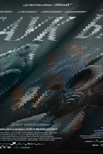 Poster of Bauk