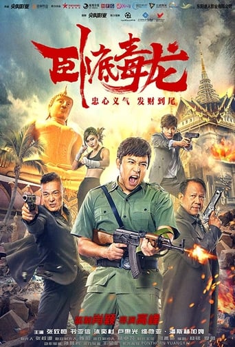 Poster of Operation Undercover 2: Poisonous Dragon