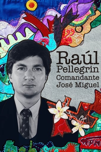 Poster of Raúl Pellegrin, Comandante José Miguel