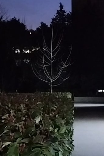 Lights on 2 Poster of Lights on 2