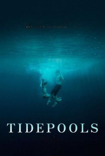 Poster of Tidepools