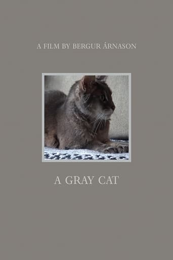 Poster of A gray cat