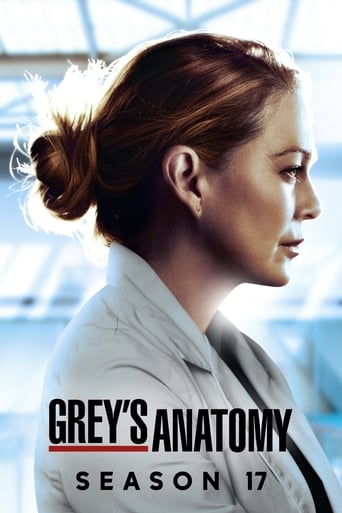 Portrait for Grey's Anatomy - Season 17