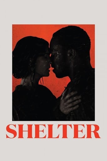 Poster of Shelter