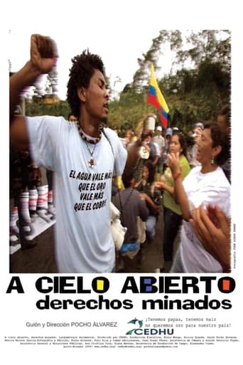 Poster of A cielo abierto, derechos minados