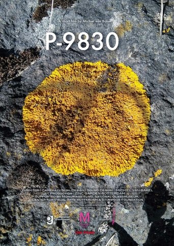 Poster of P-9830
