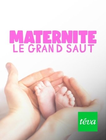 Poster of Maternité : le grand saut